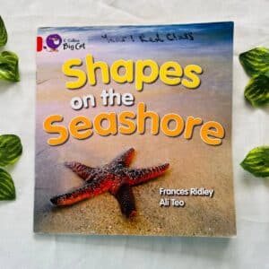 Shapes On The Seashore