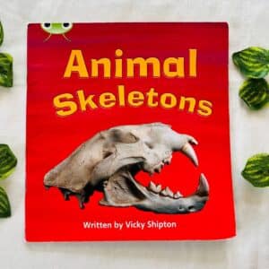Animal Skeleton