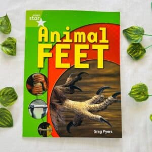 Animal Feet