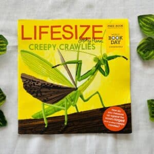 Lifesize Creepy Crawlies
