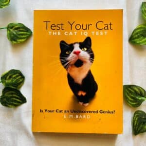 Test Your Cat