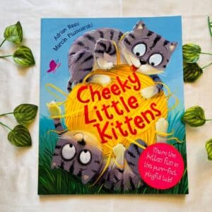 Cheeky Little Kittens: Picture Story Book