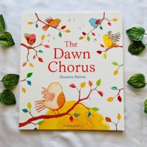 The Dawn Chorus: Picture Story Book