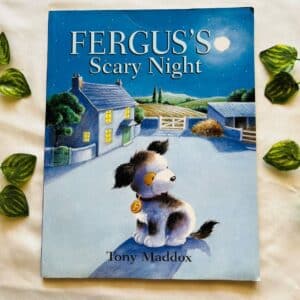 Fergus's Scary Night: Picture Story Book