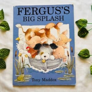 Fergus's Big Splash: Picture Story Book
