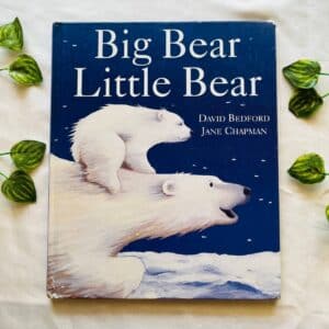 Big Bear Little Bear
