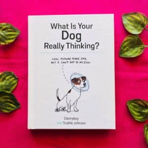 What Is Your Dog Really Thinking?