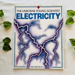 The Usborne Young Scientist Electricity