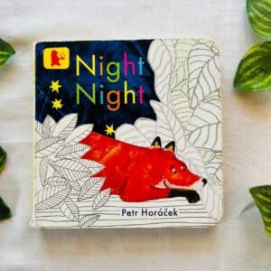 Night Night: Board Book