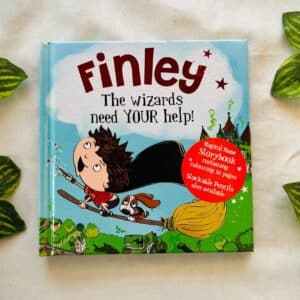 Finley The Wizards Need Your Help