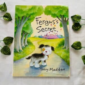 Fergus's Secret: Picture Story Book