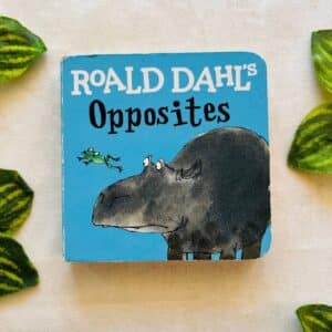 Opposites By Roald Dahl: Board Book