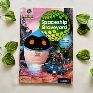 Spaceship Graveyard