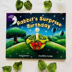Rabbit's Surprise Birthday