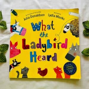 What the Ladybird Heard By Julia Donaldson