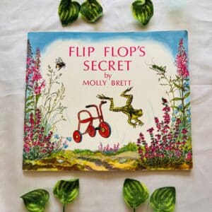 Flip Flop's Secret