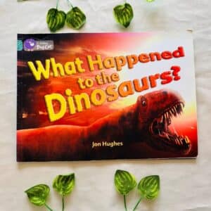 What Happened to the Dinosaurs?