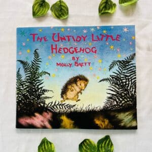 The Untidy Little Hedgehog