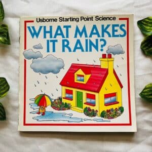 What Makes It Rain?