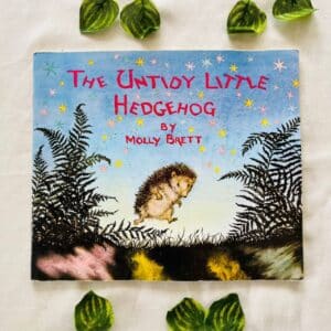 The Untidy Little Hedgehog