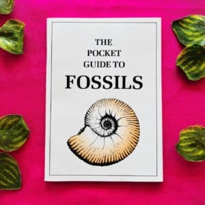 The Pocket Guide to Fossils