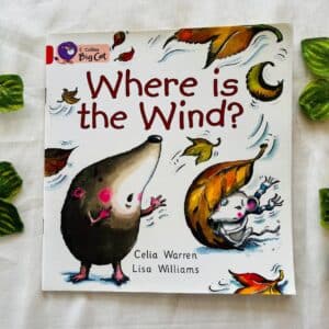 Where is the Wind?