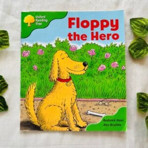 Oxford Reading Tree: Floppy the Hero