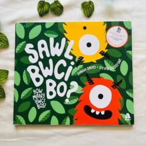 Sawl Bwci Bo? Picture Story Book