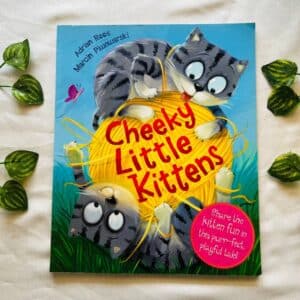 Cheeky Little Kittens: Picture Story Book