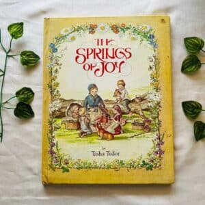 The Springs Of Joy