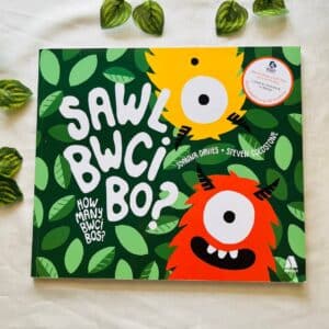 Sawl Bwci Boy? Picture Story Book