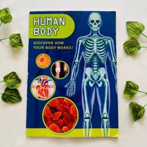 Human Body
