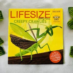 Lifesize Creepy Crawlies
