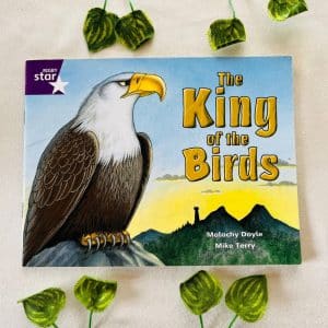 The King Of The Birds