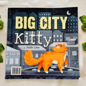 Big City Kitty: Picture Story Book