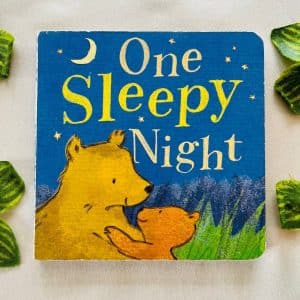 One Sleepy Night: Board Book