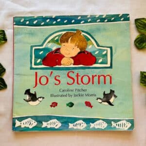 Jo's Storm: Picture Story Book