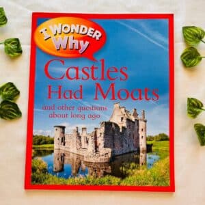 I Wonder Why Castles Had Moats
