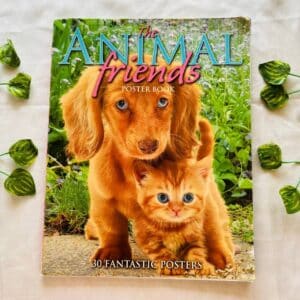 The Animal Friends Poster Book