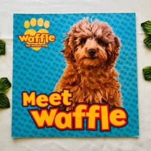Meet Waffle Picture Story Book