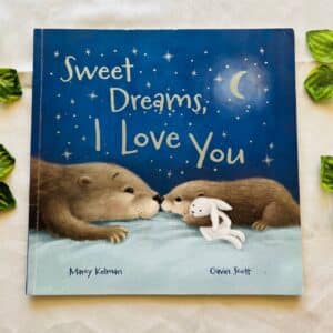 Sweet Dreams I Love you Picture Story Book