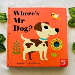 Where's Mr Dog? Board Book with Felt Flaps and a Mirror