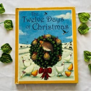 The Twelve Days Of Christmas Picture Story Book