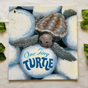 One Tiny Turtle Picture Story Book