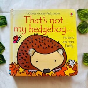 Usborne Touchy Feely Book: That's Not My Hedgehog