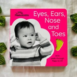 Little Peekaboos Eyes Ears Nose and Toes Board Book