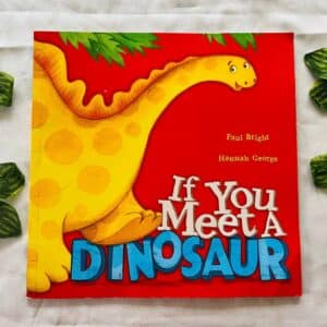 If You Meet a Dinosaur Picture Story Book