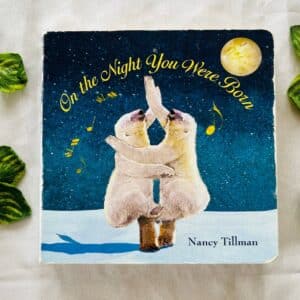 On the Night You Were Born Board Book