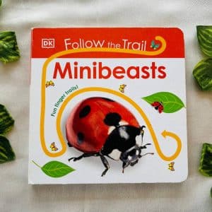 Minibeasts Board Book
