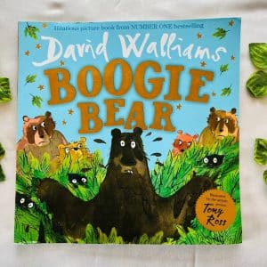 Boogie Bear Picture Story Book